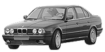 BMW E34 P2114 Fault Code